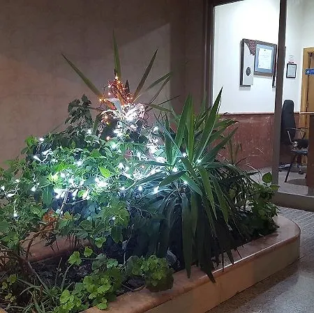 Ξενοδοχείο με διαμερίσματα Turisticos Fresno Τορεβιέχα