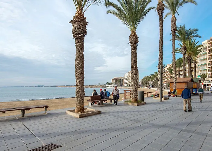 Turisticos Fresno Torrevieja