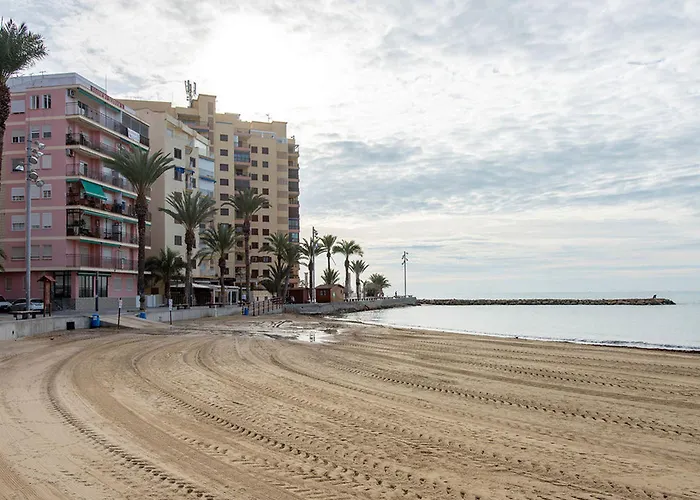 Turisticos Fresno Torrevieja